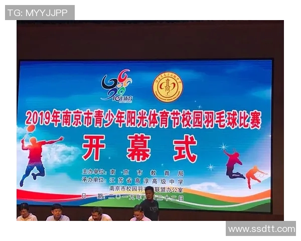 南京羽毛球队运营策略深度分析与发展前景展望