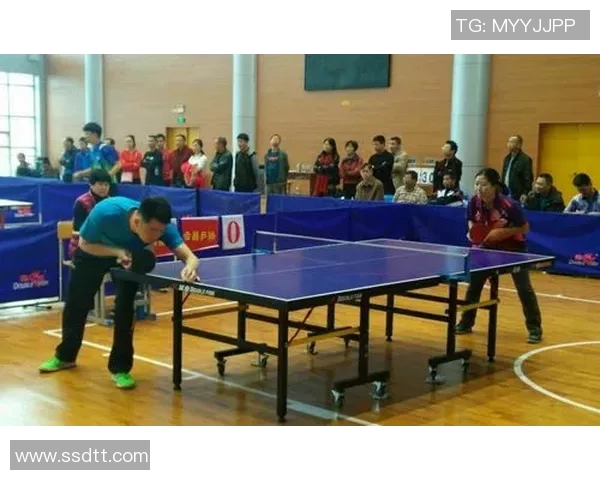 对话乒乓球名将周磊探讨他的辉煌生涯与未来展望