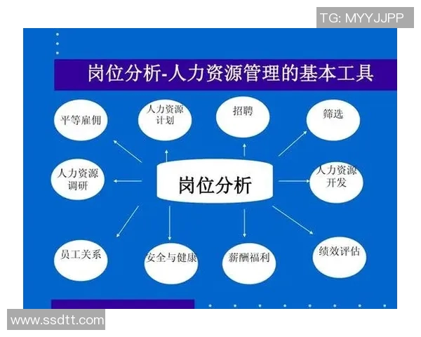 广州排球队近期状态分析与表现评估探讨