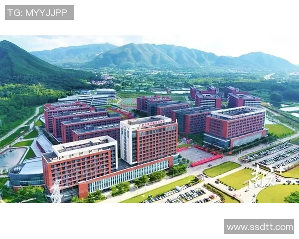 广州篮球队耐力提升之路：从训练到比赛的全方位解析