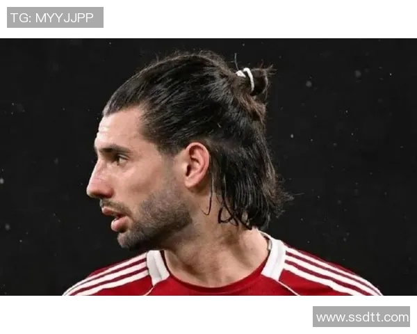 探索索博斯洛伊的历史与文化魅力，揭示其在现代社会中的重要性与影响