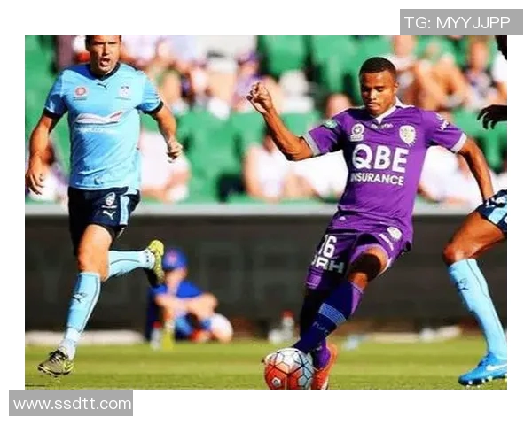 竞彩001蔚山现代对阵珀斯光荣的精彩对决分析与预测 竞彩001蔚山现代对阵珀斯光荣的精彩对决分析与预测